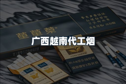 广西越南代工烟